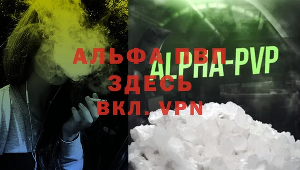 трава Иннополис