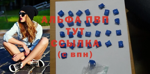дурь Инта