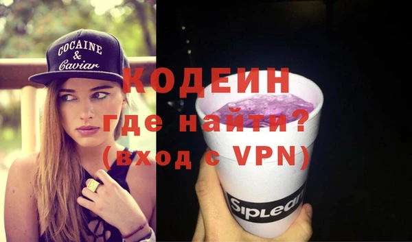 дурь Инта