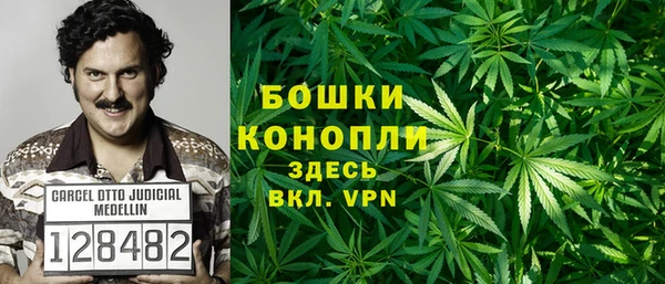 спиды Инсар
