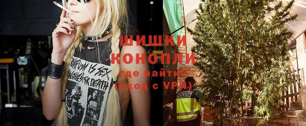 дурь Инта