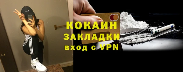 дурь Инта