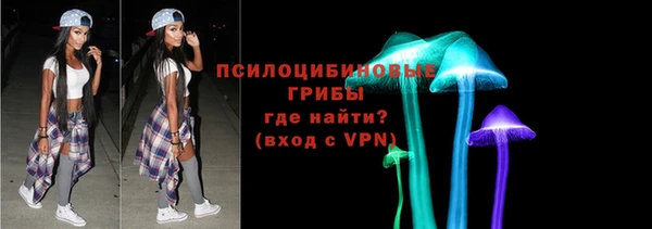 дурь Инта