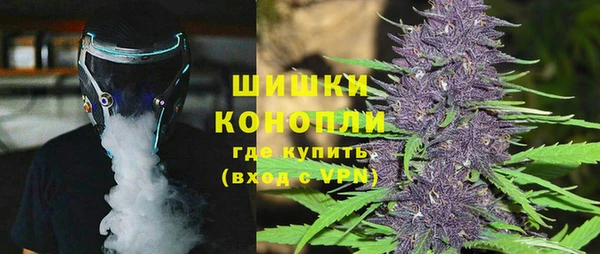 дурь Инта