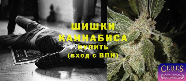 трава Иннополис
