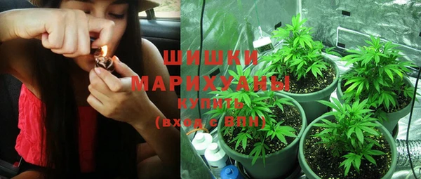 спиды Инсар