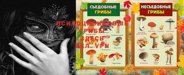 спиды Инсар