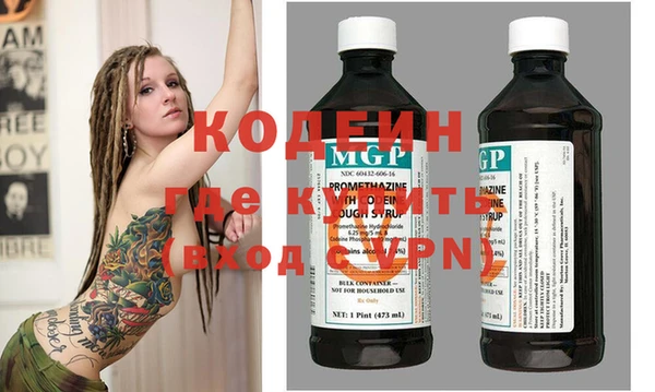 дурь Инта