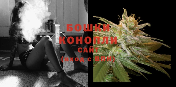 спиды Инсар