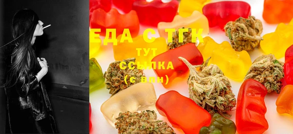 дурь Инта