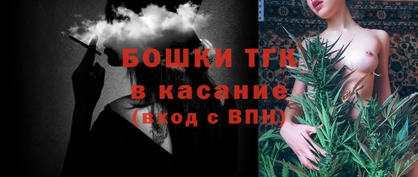 ПСИЛОЦИБИНОВЫЕ ГРИБЫ Каменка
