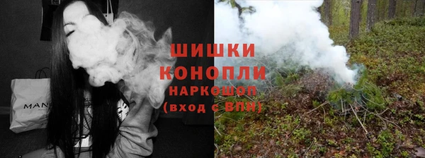 дурь Инта
