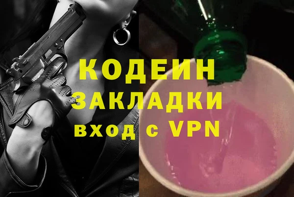 дурь Инта